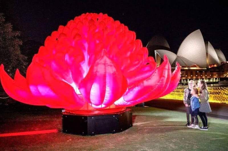 Уникальные световые шоу представят организаторы фестиваля Vivid Sydney
